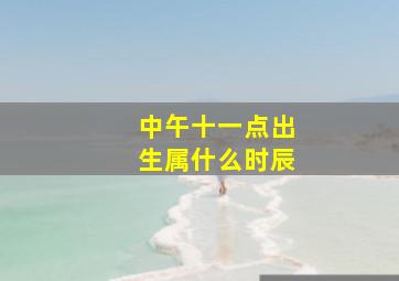 中午十一点出生属什么时辰