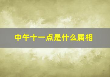 中午十一点是什么属相