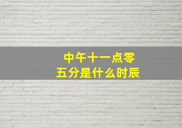 中午十一点零五分是什么时辰