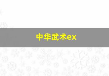 中华武术ex