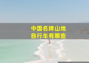 中国名牌山地自行车有哪些