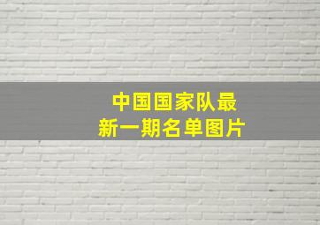 中国国家队最新一期名单图片