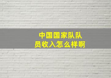 中国国家队队员收入怎么样啊