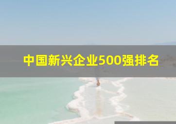 中国新兴企业500强排名