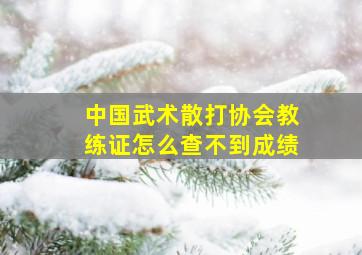 中国武术散打协会教练证怎么查不到成绩