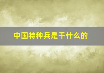 中国特种兵是干什么的