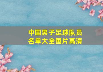 中国男子足球队员名单大全图片高清