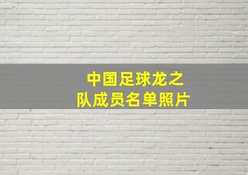 中国足球龙之队成员名单照片