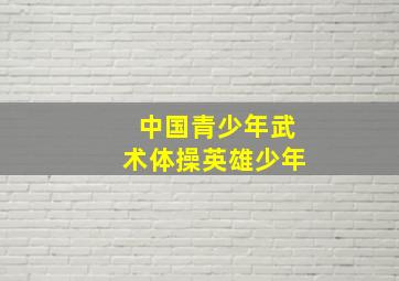 中国青少年武术体操英雄少年