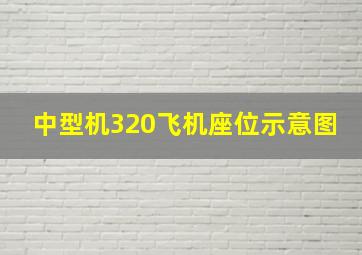 中型机320飞机座位示意图