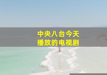 中央八台今天播放的电视剧