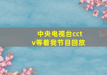 中央电视台cctv等着我节目回放