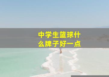 中学生篮球什么牌子好一点