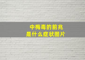 中梅毒的前兆是什么症状图片