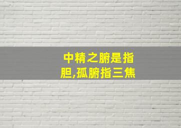 中精之腑是指胆,孤腑指三焦