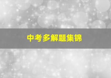 中考多解题集锦