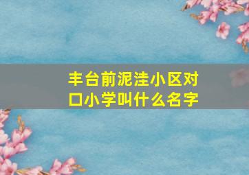 丰台前泥洼小区对口小学叫什么名字