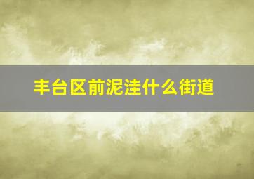 丰台区前泥洼什么街道