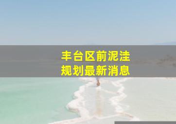 丰台区前泥洼规划最新消息