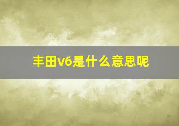 丰田v6是什么意思呢