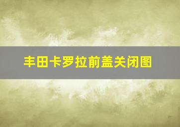 丰田卡罗拉前盖关闭图