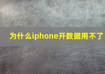 为什么iphone开数据用不了