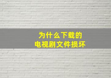 为什么下载的电视剧文件损坏