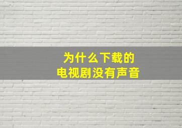 为什么下载的电视剧没有声音