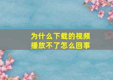 为什么下载的视频播放不了怎么回事