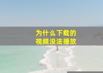 为什么下载的视频没法播放