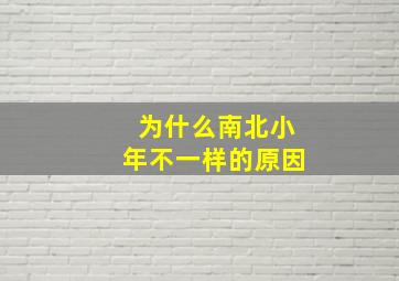 为什么南北小年不一样的原因