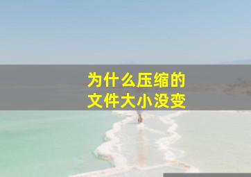 为什么压缩的文件大小没变