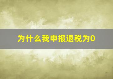 为什么我申报退税为0