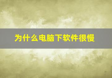 为什么电脑下软件很慢