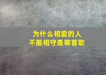 为什么相爱的人不能相守是哪首歌