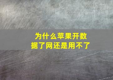 为什么苹果开数据了网还是用不了