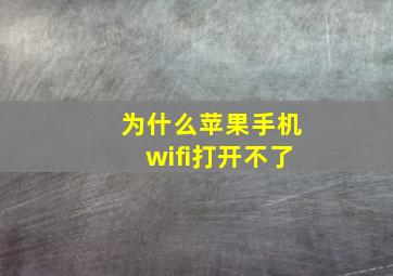 为什么苹果手机wifi打开不了