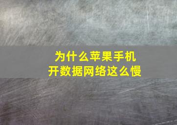 为什么苹果手机开数据网络这么慢