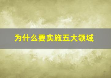 为什么要实施五大领域