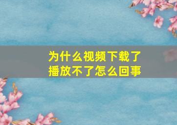 为什么视频下载了播放不了怎么回事