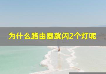 为什么路由器就闪2个灯呢