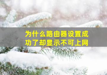 为什么路由器设置成功了却显示不可上网