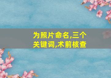 为照片命名,三个关键词,术前核查