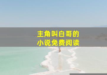 主角叫白哥的小说免费阅读