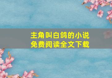 主角叫白鸽的小说免费阅读全文下载