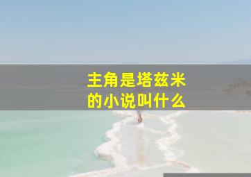 主角是塔兹米的小说叫什么