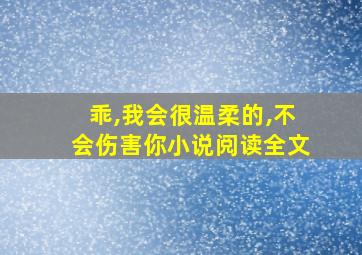 乖,我会很温柔的,不会伤害你小说阅读全文