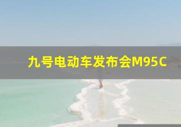 九号电动车发布会M95C