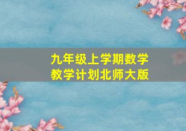 九年级上学期数学教学计划北师大版