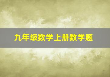 九年级数学上册数学题